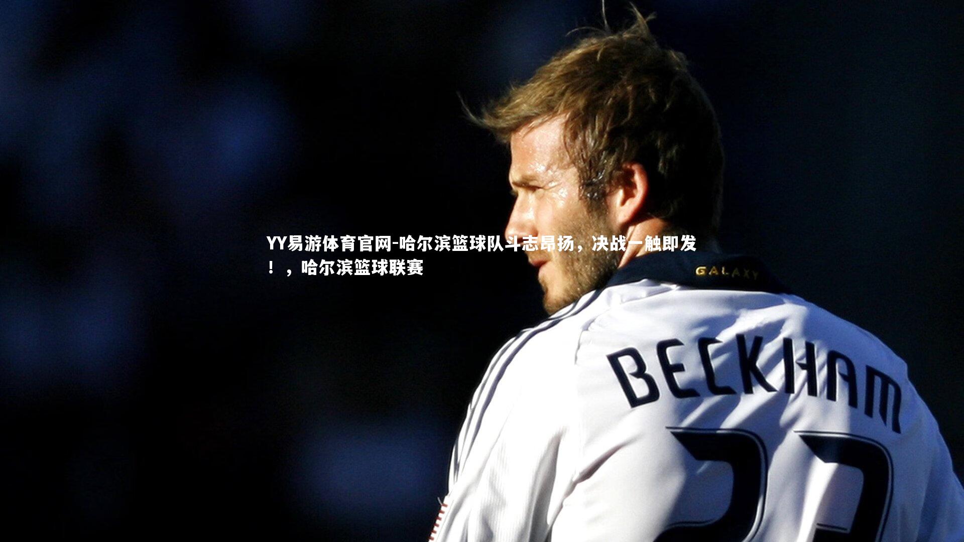 哈尔滨篮球队斗志昂扬，决战一触即发！，哈尔滨篮球联赛