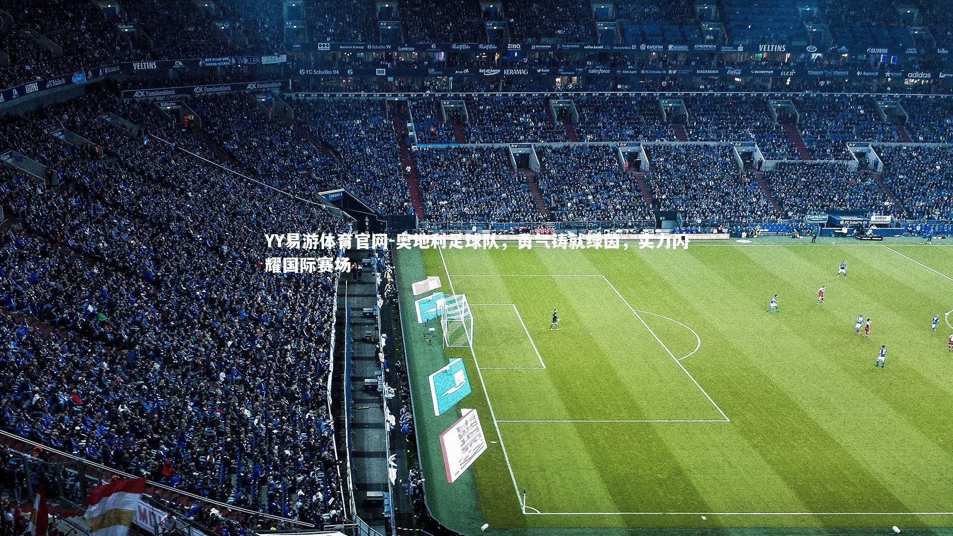 奥地利足球队，勇气铸就绿茵，实力闪耀国际赛场